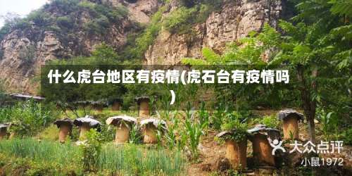 什么虎台地区有疫情(虎石台有疫情吗)-第2张图片