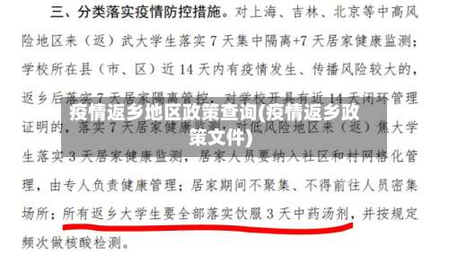 疫情返乡地区政策查询(疫情返乡政策文件)-第2张图片