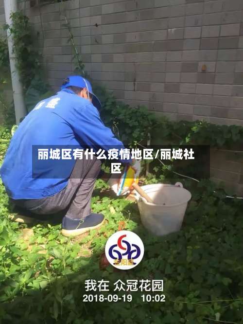 丽城区有什么疫情地区/丽城社区-第1张图片