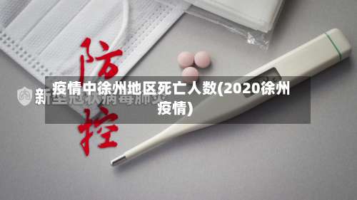 疫情中徐州地区死亡人数(2020徐州疫情)-第2张图片