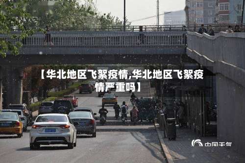 【华北地区飞絮疫情,华北地区飞絮疫情严重吗】-第2张图片