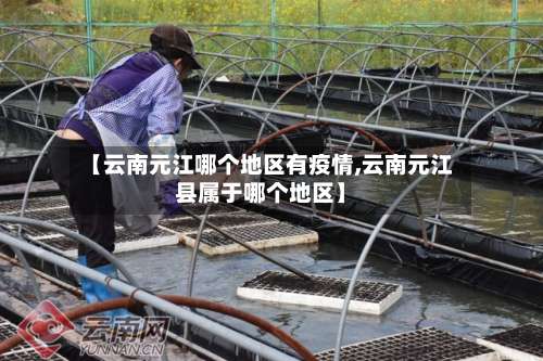 【云南元江哪个地区有疫情,云南元江县属于哪个地区】-第1张图片