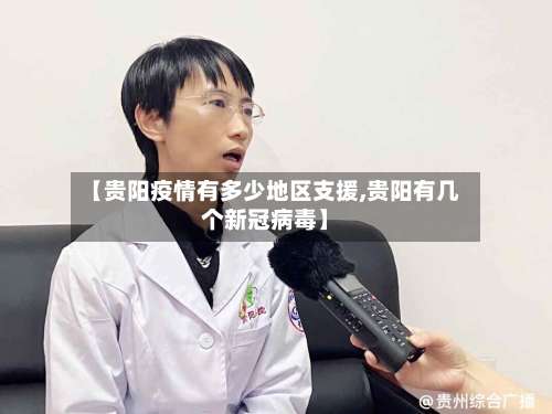 【贵阳疫情有多少地区支援,贵阳有几个新冠病毒】-第1张图片