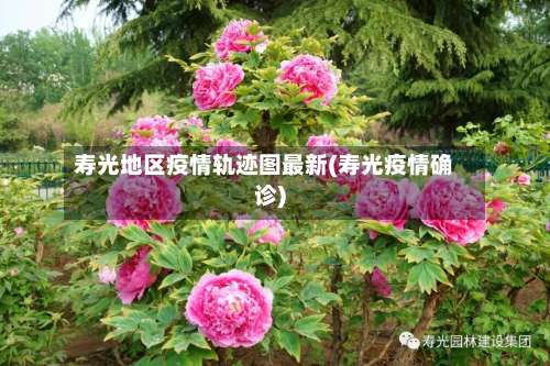 寿光地区疫情轨迹图最新(寿光疫情确诊)-第1张图片