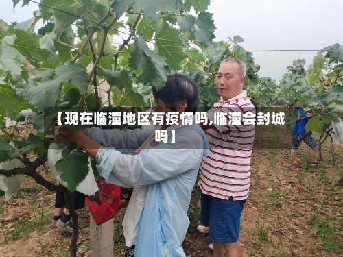 【现在临潼地区有疫情吗,临潼会封城吗】-第2张图片