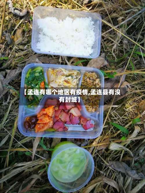 【孟连有哪个地区有疫情,孟连县有没有封城】-第2张图片