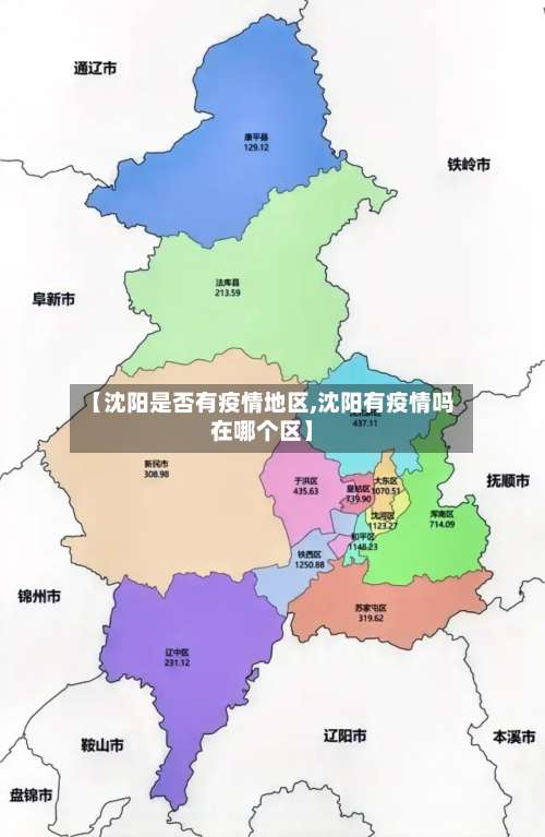 【沈阳是否有疫情地区,沈阳有疫情吗在哪个区】-第2张图片