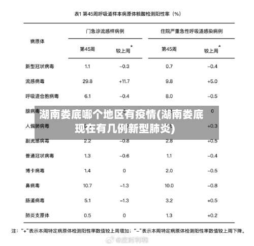 湖南娄底哪个地区有疫情(湖南娄底现在有几例新型肺炎)-第1张图片