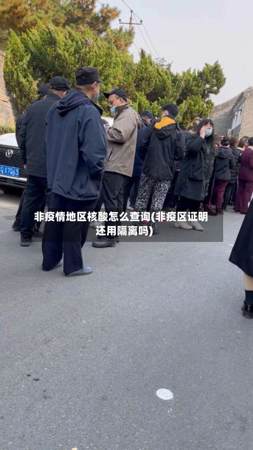 非疫情地区核酸怎么查询(非疫区证明还用隔离吗)-第2张图片
